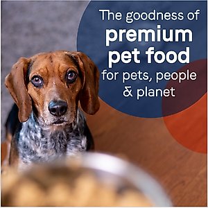 CANIDAE PURE All Stages Grain-Free Limited Ingredient Lamb Recipe Canned Dog Food, 13-oz, case of 12