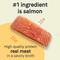 Show in main carousel: CANIDAE PURE All Stages Grain-Free Limited Ingredient Salmon & Sweet Potato Recipe Canned Dog Food, 13-oz can, case of 12 slide 6 of 12