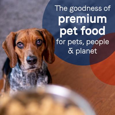 Show full view: CANIDAE PURE All Stages Grain-Free Limited Ingredient Salmon & Sweet Potato Recipe Canned Dog Food, 13-oz can, case of 12 slide 8 of 12