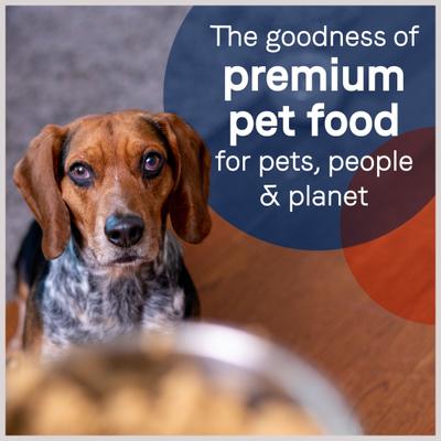 Show full view: CANIDAE Pure Lamb, Turkey & Chicken Recipe Adult Wet Dog Food, 13-oz, case of 12 slide 7 of 11