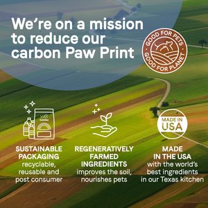 CANIDAE PURE Petite Adult Small Breed Grain-Free with Salmon Dry Dog Food, 4-lb bag