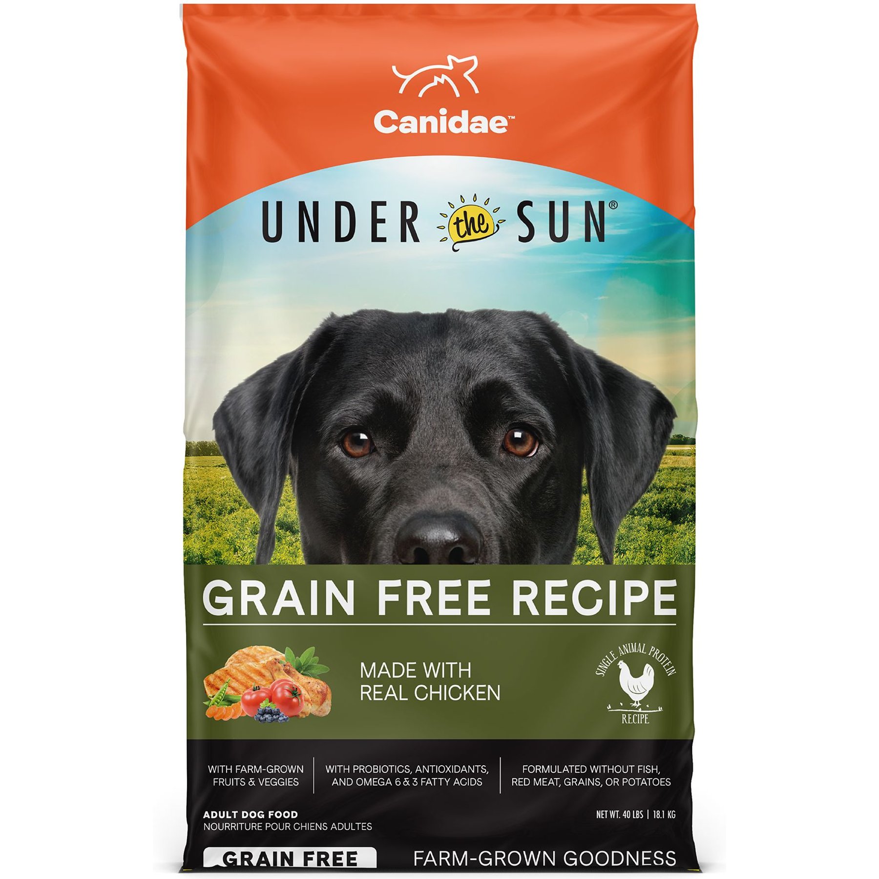 ダイエットフード sun CANIDAE Under the Sun Grain-Free Chicken Recipe Adult Dry Dog Food