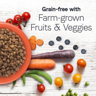 Show full view: CANIDAE Under the Sun Grain-Free Chicken Recipe Adult Dry Dog Food, 40-lb bag slide 5 of 11