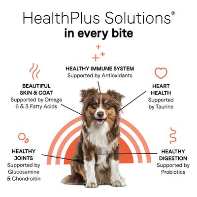 Show full view: CANIDAE Under the Sun Grain-Free Chicken Recipe Adult Dry Dog Food, 40-lb bag slide 7 of 11