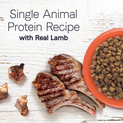 Show full view: CANIDAE Under the Sun Grain-Free Lamb Recipe Adult Dry Dog Food, 40-lb bag slide 4 of 11