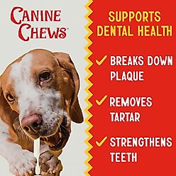 Canine Chews 10-11-inch Retriever Skinny Stick Beef Flavor Dental Dog Chews, 50 count slide 2 of 7