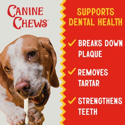 Show full view: Canine Chews 10-11-inch Retriever Skinny Stick Beef Flavor Dental Dog Chews, 50 count slide 7 of 8