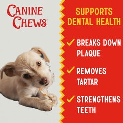 Canine Chews 5-inch Rawhide Twist Chicken Flavor Dental Dog Chews, 100 count slide 2 of 7