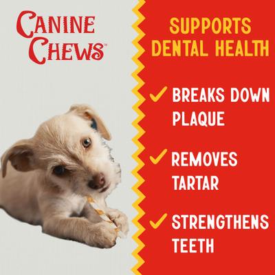 Show full view: Canine Chews 5-inch Rawhide Twist Chicken Flavor Dental Dog Chews, 45 count slide 4 of 8