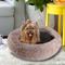 Show in main carousel: Arlee Home & Pet Donut Orthopedic Bolster Dog Bed, Blush, Small slide 1 of 11