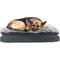 Show in main carousel: Arlee Home & Pet Orthopedic Pillow Topper Dog Bed, Charcoal, X-Large slide 4 of 11