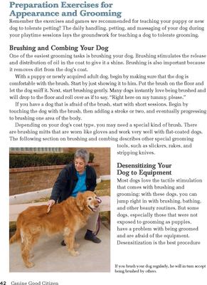 Show full view: Canine Good Citizen, The Official AKC Guide slide 4 of 9