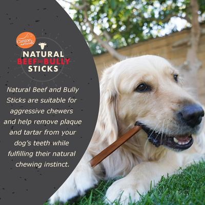 Show full view: Canine Naturals Beef & Bully Sticks, Large, 4 count slide 3 of 8