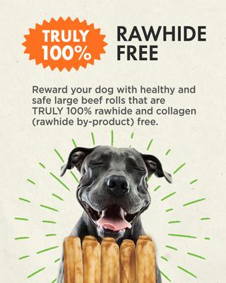 Show full view: Canine Naturals Hide Free 7-inch Beef Flavor Stick Dog Chew, 5 count slide 6 of 11