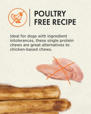 Show full view: Canine Naturals Hide Free 7-inch Beef Flavor Stick Dog Chew, 5 count slide 9 of 11