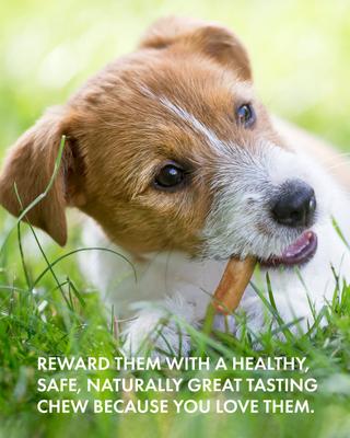 Show full view: Canine Naturals Hide Free Chicken Recipe Small Rolls Dog Treat, 6 Count slide 10 of 12