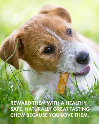 Show full view: Canine Naturals Hide Free Chicken Recipe Stick Dog Chew, 10 count slide 10 of 12