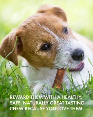 Show full view: Canine Naturals Hide Free Peanut Butter Flavor Roll Dog Chew Treat, Medium slide 10 of 11