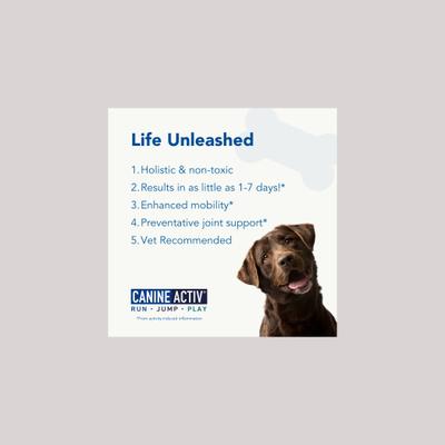 Show full view: CanineActiv Mobility Large Dog Supplement, 90 count slide 5 of 8