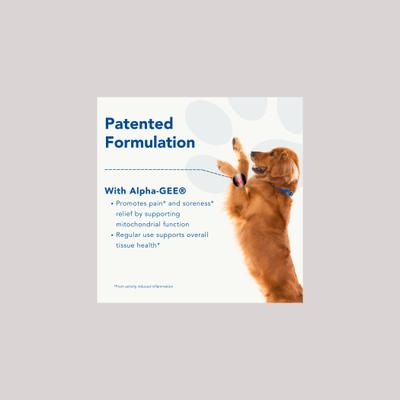 Show full view: CanineActiv Mobility Large Dog Supplement, 90 count slide 6 of 8