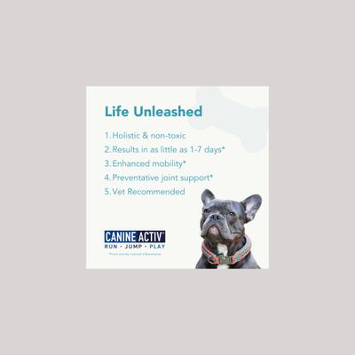 Show full view: CanineActiv Mobility Medium Dog Supplement, 90 count slide 5 of 7