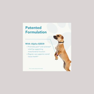 Show full view: CanineActiv Mobility Medium Dog Supplement, 90 count slide 6 of 7