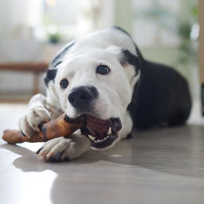 Show full view: Canine's Choice DogLicious 10" Beef Flavor Retriever Rawhide Roll Dog Treat slide 5 of 6