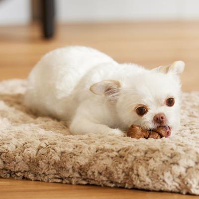 Show full view: Canine's Choice DogLicious 2" Beef Flavored Mini Bones Rawhide Dog Treats, 7 count slide 5 of 7