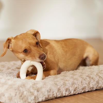 Show full view: Canine's Choice DogLicious 3.5" Donut Dog Treats, 2 count slide 5 of 6