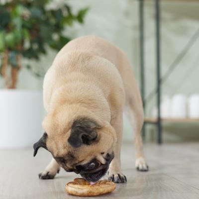 Show full view: Canine's Choice DogLicious 3.5" Peanut Butter Flavored Donuts Rawhide Dog Treats, 2 count slide 5 of 5