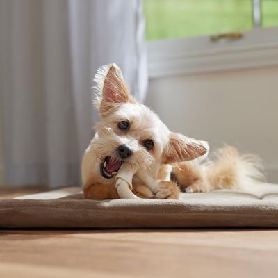 Show full view: Canine's Choice DogLicious 3" Donut Rings Dog Treats, 5 count slide 5 of 7