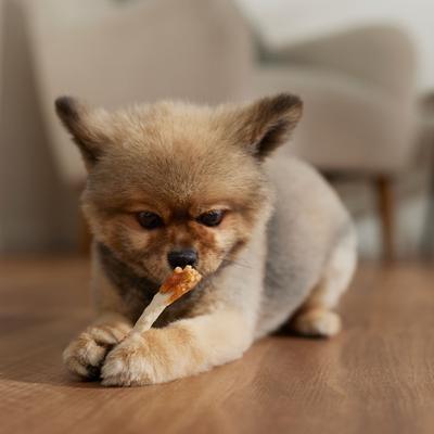 Show full view: Canine's Choice DogLicious 3" Munchy Stick Chicken Dumbbells Rawhide Dog Treats slide 5 of 6