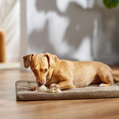 Show full view: Canine's Choice DogLicious 4 - 5" Bone Rawhide Dog Treats, 2 count slide 5 of 6