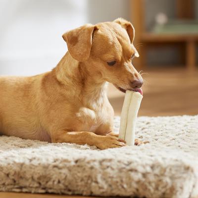 Show full view: Canine's Choice DogLicious 4" Natural Curls Rawhide Dog Treats, 7 count slide 5 of 6