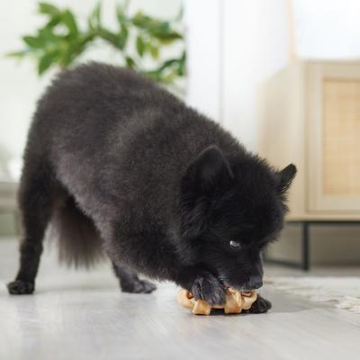 Show full view: Canine's Choice DogLicious 4" Peanut Butter Bones Dog Treats, 5 count slide 5 of 6