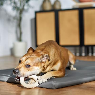 Show full view: Canine's Choice DogLicious 5.5" Donut Rawhide Dog Treat slide 5 of 7