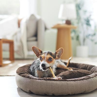 Show full view: Canine's Choice DogLicious 5" Chew Stick Dog Treats, 20 count slide 5 of 6