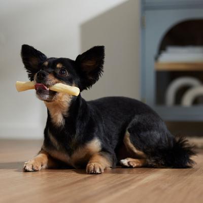 Show full view: Canine's Choice DogLicious 5" Chicken Basted Rolls Dog Treats, 6 count slide 5 of 6