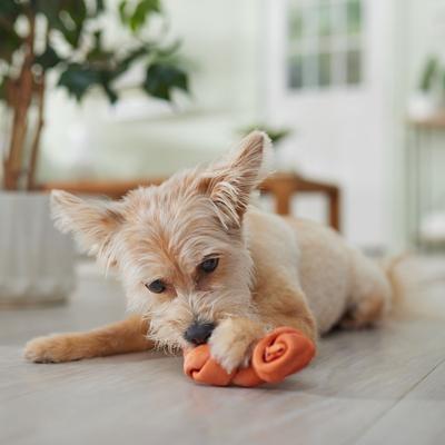 Show full view: Canine's Choice DogLicious 5" Chicken Bones Dog Treats, 5 count slide 5 of 6