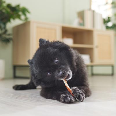 Show full view: Canine's Choice DogLicious 5" Chicken Wrapped Twist Sticks Dog Treats, 20 count slide 5 of 7