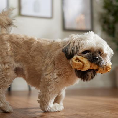 Show full view: Canine's Choice DogLicious 6 - 7" Chicken Basted Bone Rawhide Dog Treat slide 5 of 6