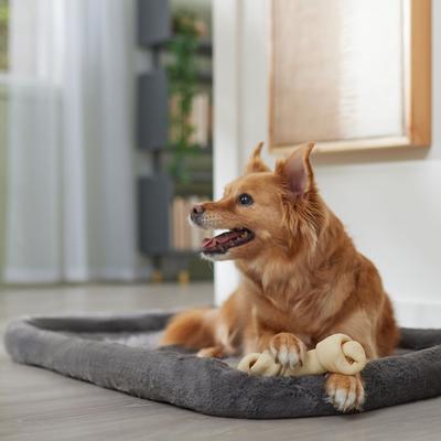 Show full view: Canine's Choice DogLicious 6-7-in Bone Rawhide Dog Treats, 2 count slide 5 of 6