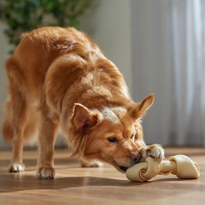 Show full view: Canine's Choice DogLicious 6" Natural Bones Dog Treats, 4 count slide 5 of 6