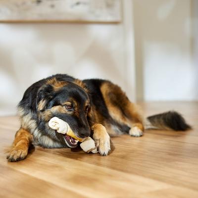 Show full view: Canine's Choice DogLicious 8 - 9" Chicken Basted Bone Rawhide Dog Treat slide 5 of 6