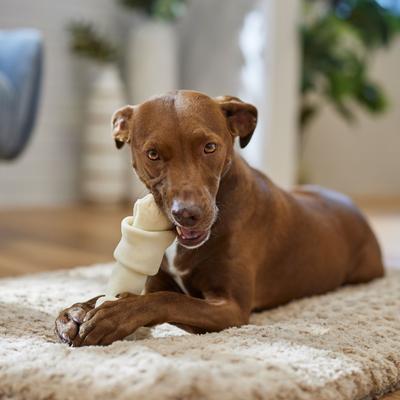 Show full view: Canine's Choice DogLicious 8 - 9" Natural Bone Rawhide Dog Treat slide 5 of 6