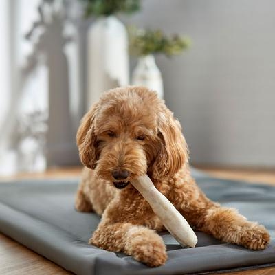 Show full view: Canine's Choice DogLicious 8" Natural Retriever Rolls Rawhide Dog Treats, 2 count slide 5 of 6