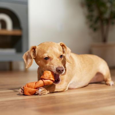 Show full view: Canine's Choice DogLicious Assorted Flavor Bones Dog Treats, 5 count, 4-5" slide 7 of 8