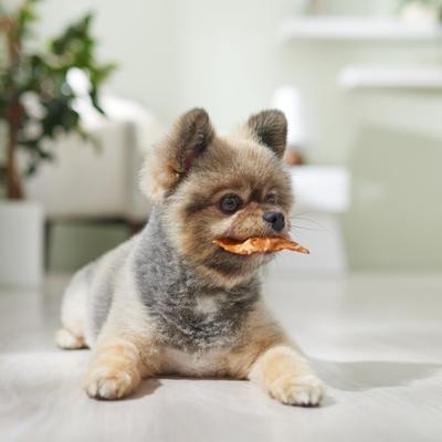 Show full view: Canine's Choice DogLicious Beef Flavored Chips Rawhide Dog Treats, 1-lb bag slide 5 of 6