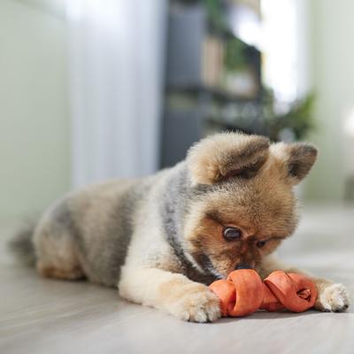 Show full view: Canine's Choice DogLicious Chicken Flavor Bone Rawhide Dog Treat, 5" slide 5 of 6