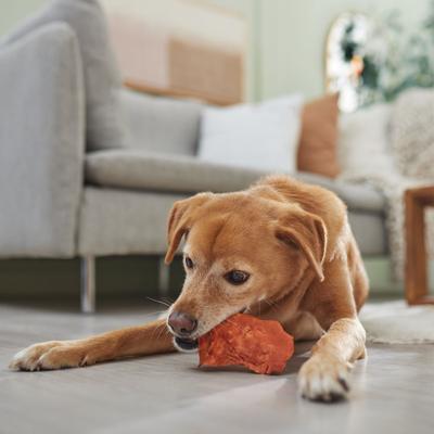 Show full view: Canine's Choice DogLicious Chicken Flavor Chips Rawhide Dog Treats, 3-oz bag slide 5 of 5